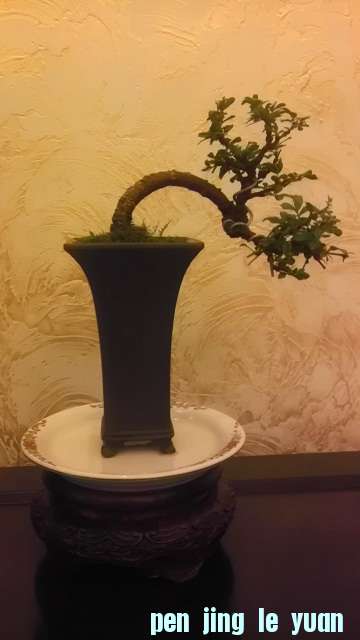 IMAG0609-1.jpg