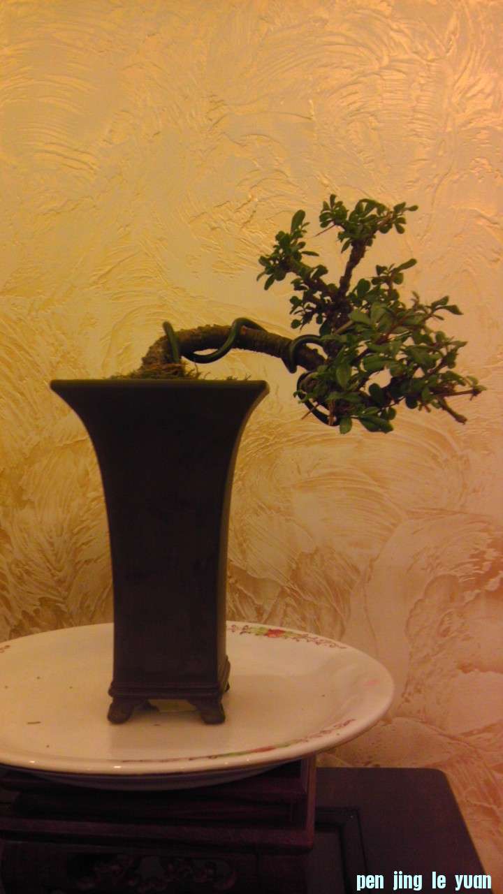 IMAG0631.jpg