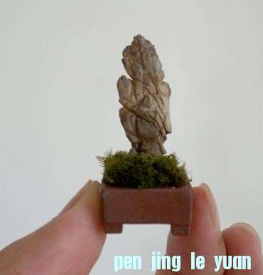 201207231319.jpg