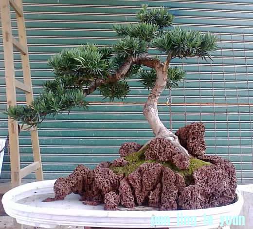 Ƭ1016_001_001.jpg