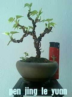 IMG0722113600.jpg