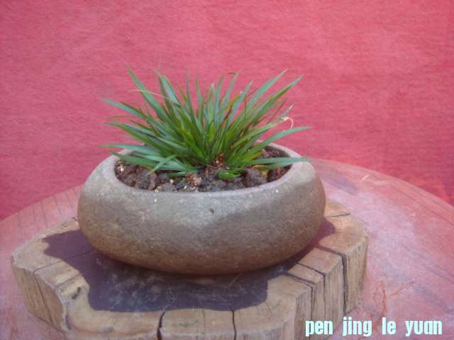 DSC03857.JPG