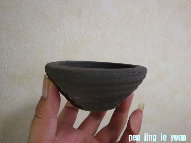 DSC09780.JPG