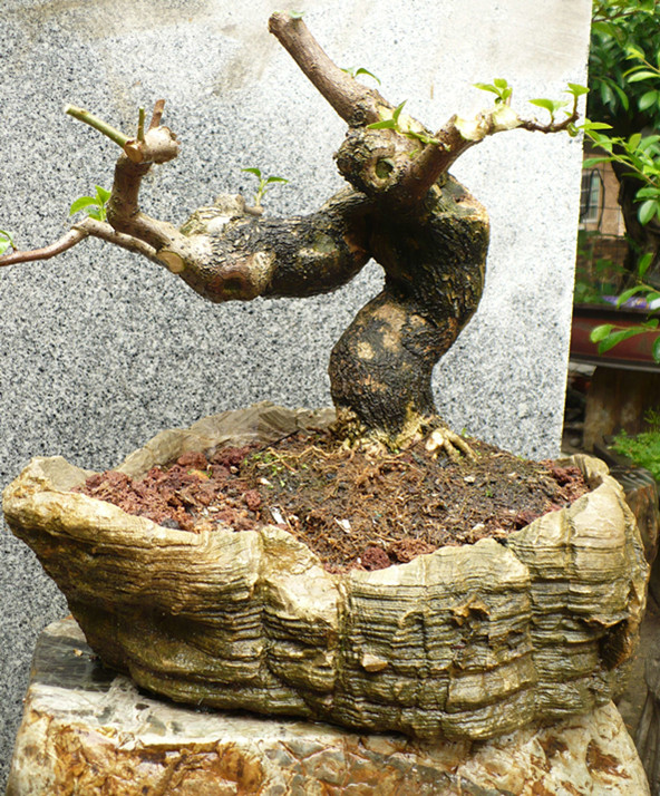 P1030634_.jpg