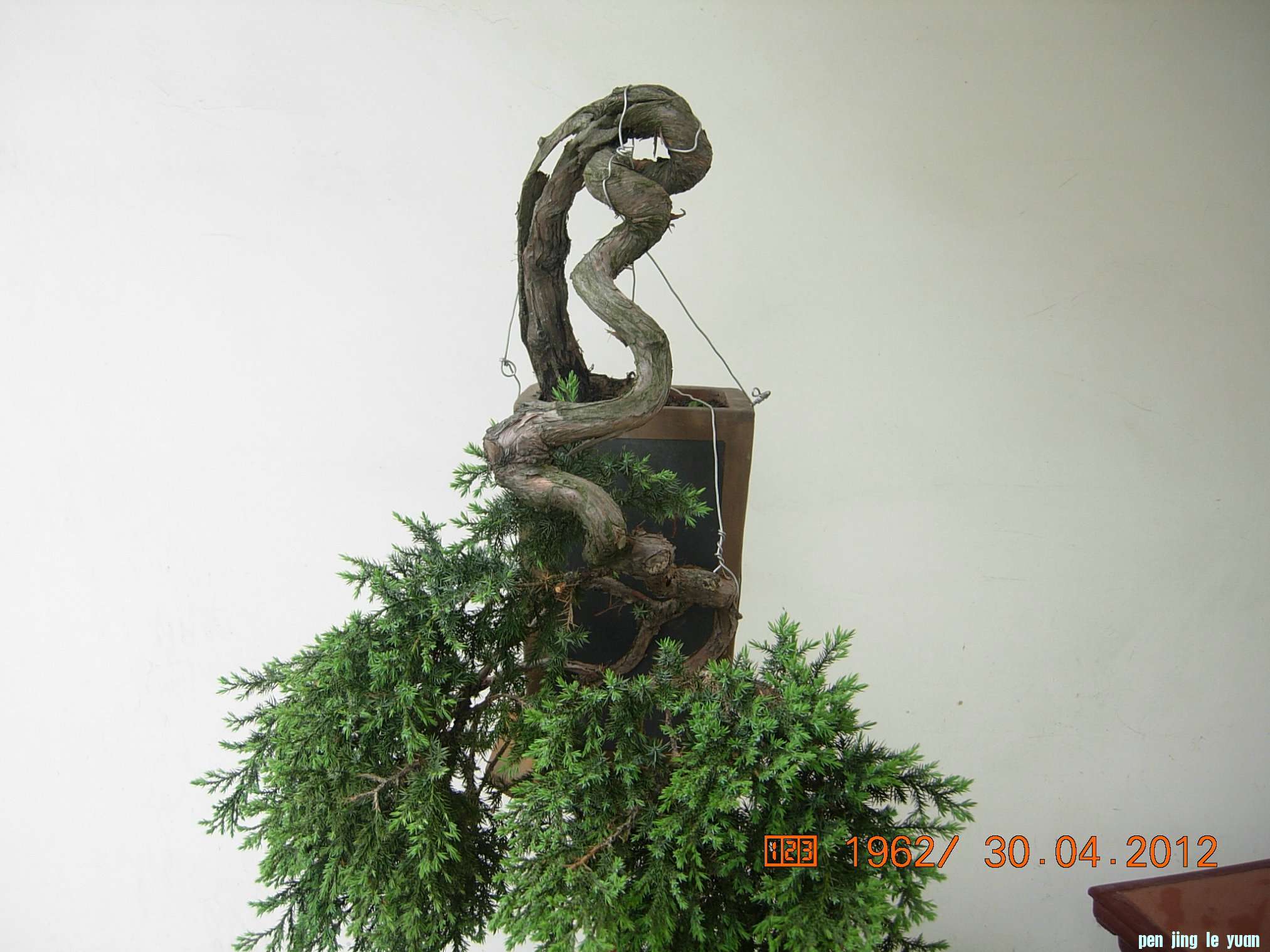 DSCN5799.JPG