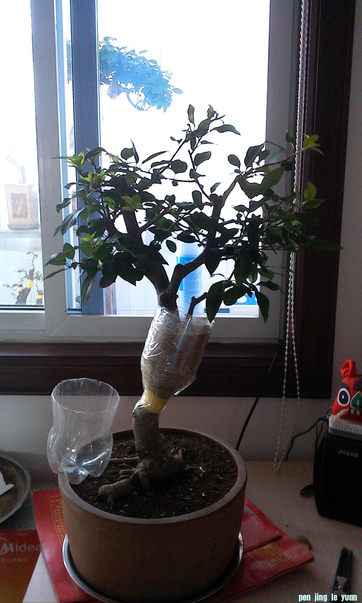 IMG0802072100.jpg