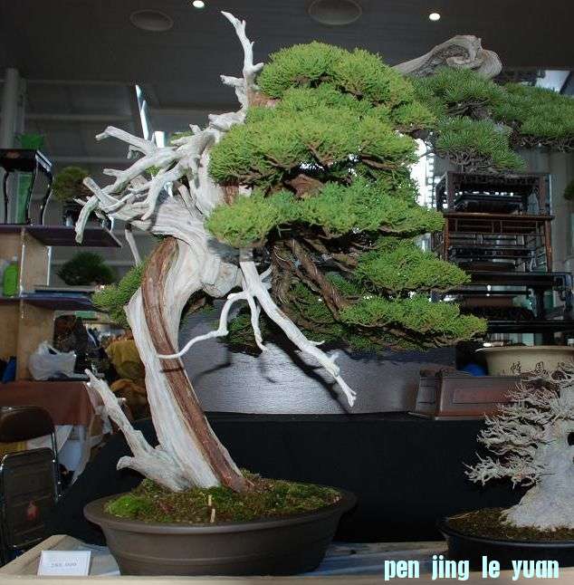 6.JPG