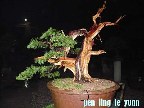 p1030650_.jpg
