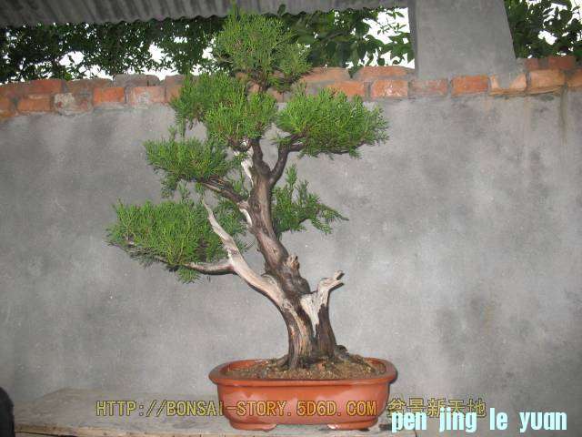 20090507_02c99701255be02ee587t0T0050MA5K5[1].jpg