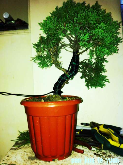 Ƭ 004.jpg