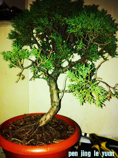 Ƭ 005.jpg