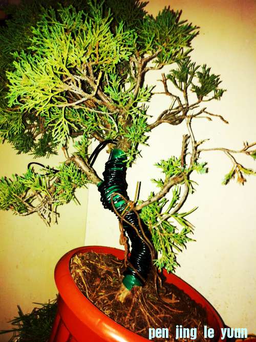 Ƭ 009.jpg