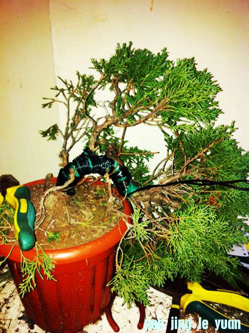 Ƭ 011.jpg