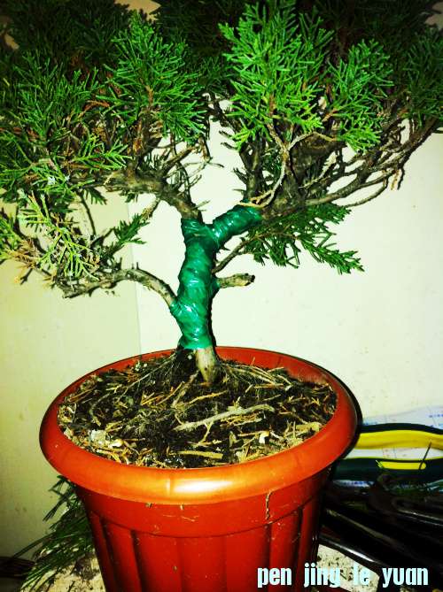 Ƭ 015.jpg