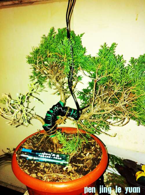 Ƭ 016.jpg