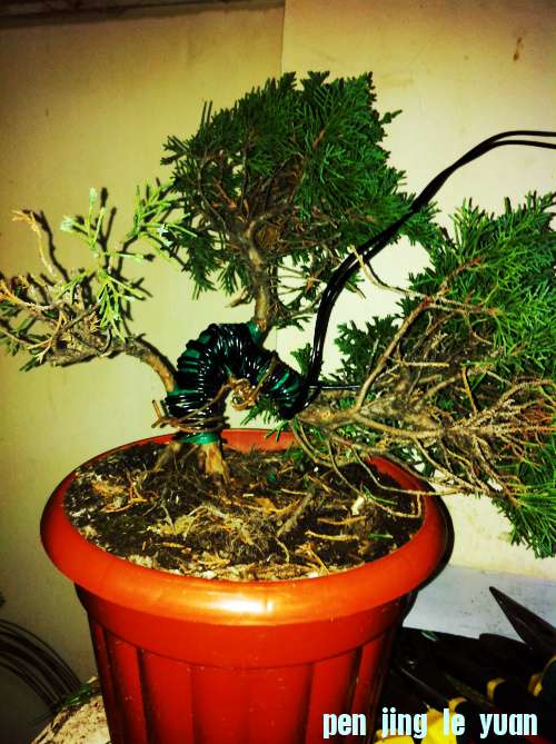 Ƭ 017.jpg