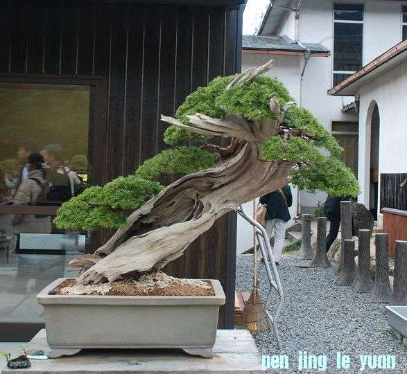 6.JPG