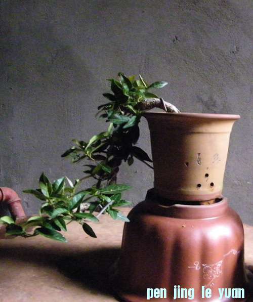100_2045.jpg
