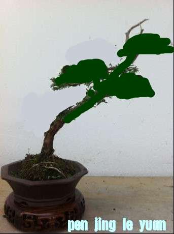 360ͼ20120812230027340_conew1.jpg