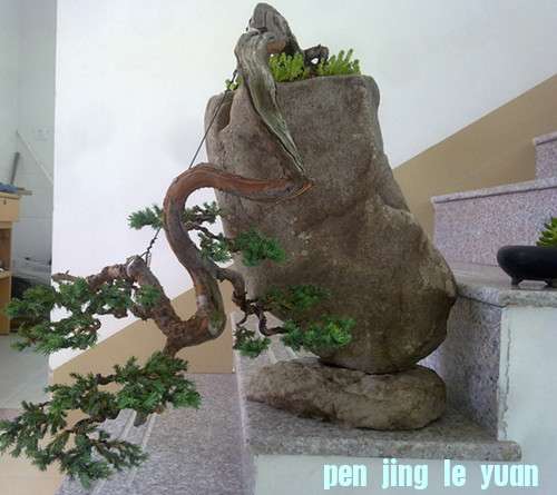 201206012042_.jpg