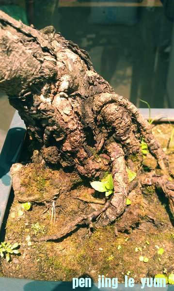 IMAG0915.jpg