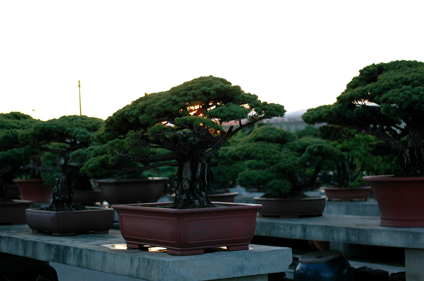 DSC_5801_.jpg