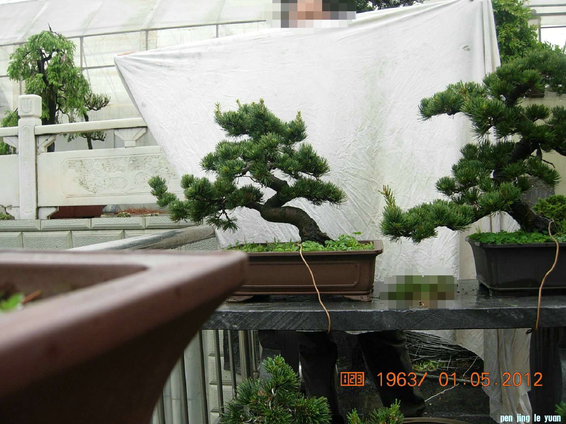 DSCN6062.JPG
