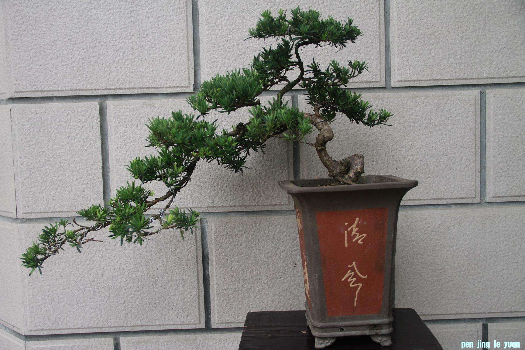240ȸ޺ 001.jpg