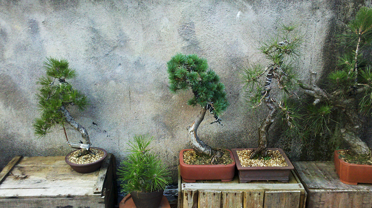 2012-07-21_16-59-05_976.jpg