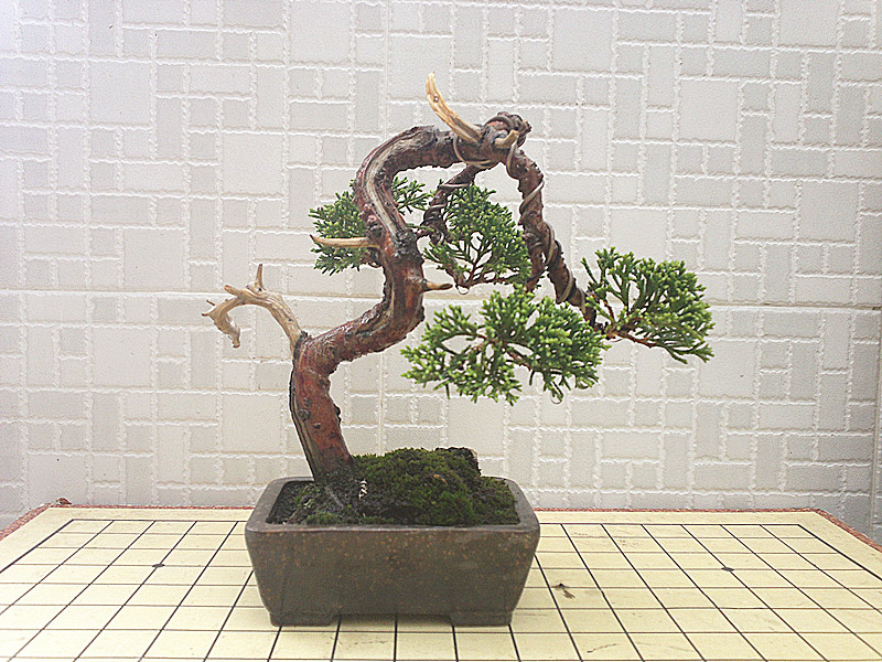 201208221633_.jpg