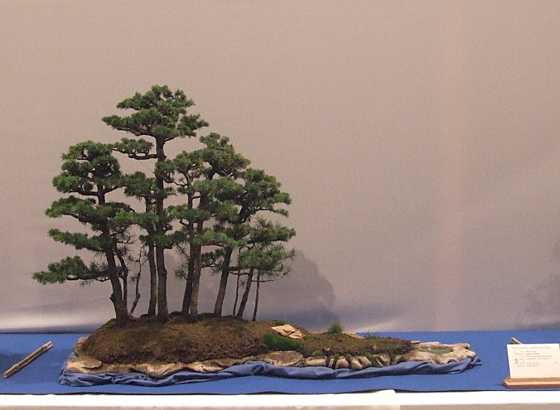 Noelanders Trophy XIII 2012 5c.jpg