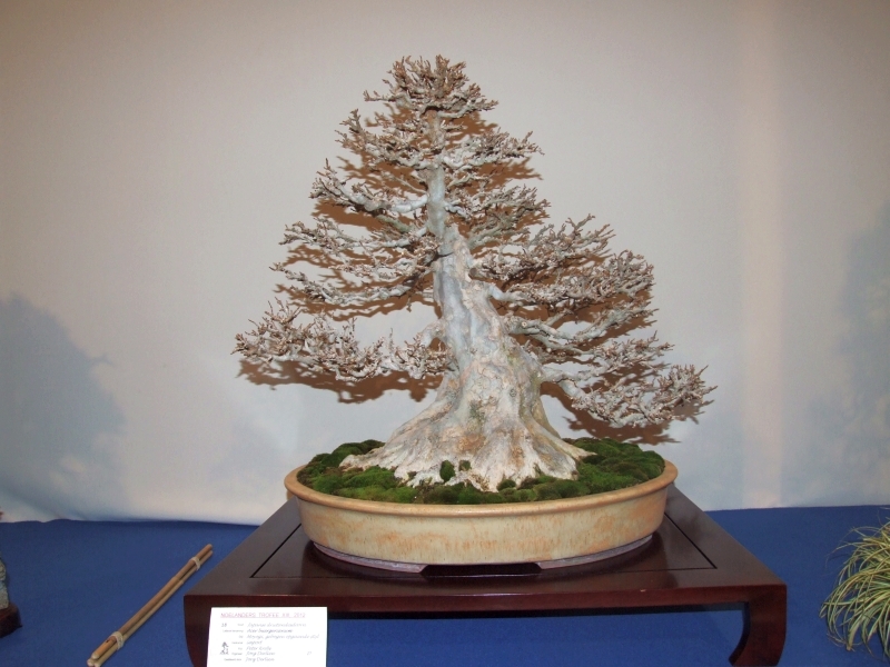Noelanders Trophy XIII 2012 12c.jpg