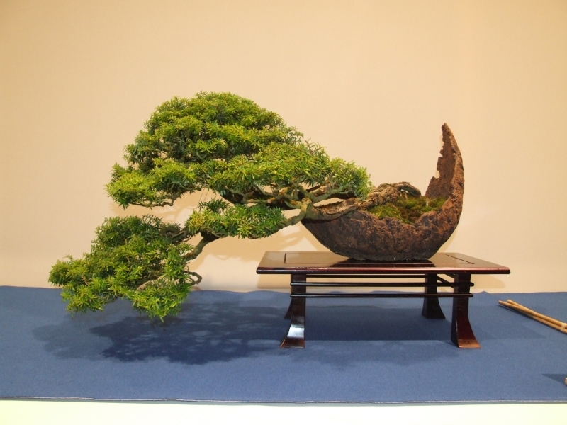 Noelanders Trophy XIII 2012 24b.jpg