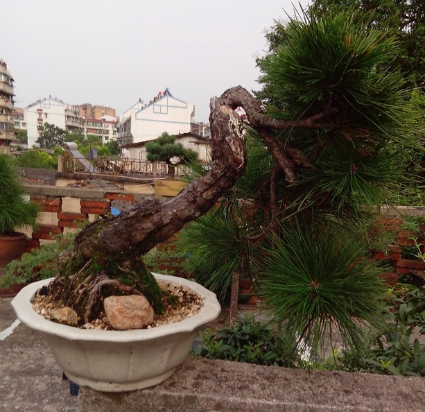 IMG_20120814_165334.jpg