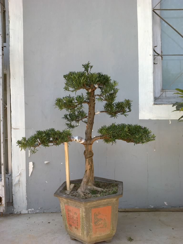 20111003236.jpg