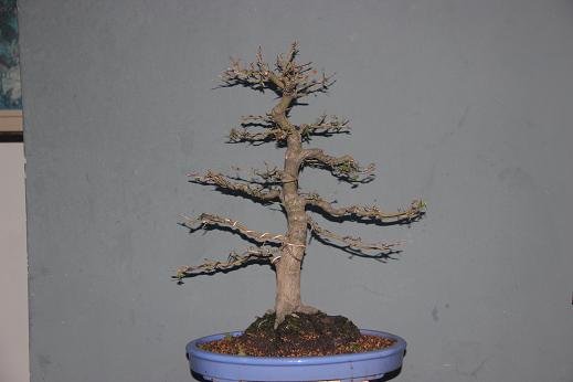 Ƭ0808 119.jpg