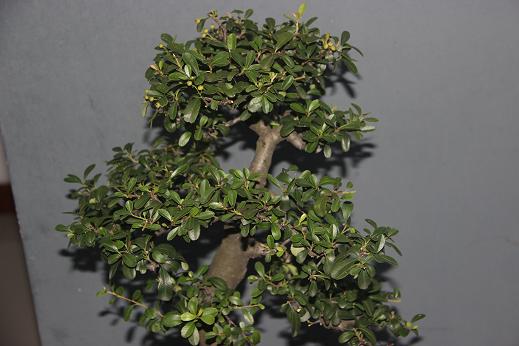 Ƭ0808 114.jpg