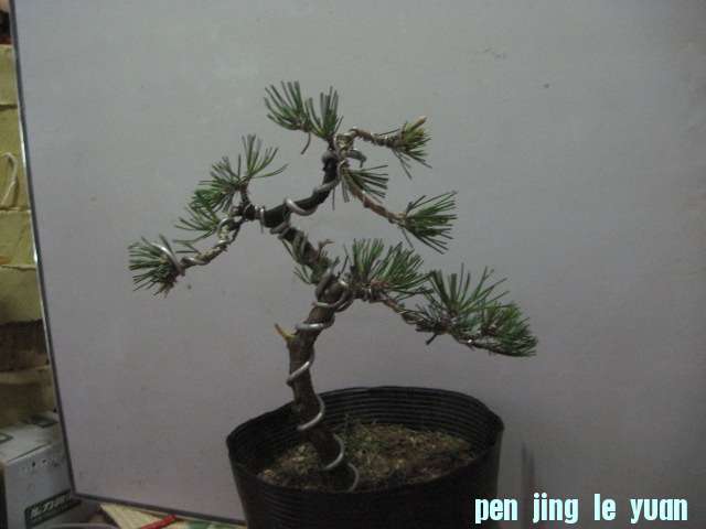 2012-08-26 002.jpg