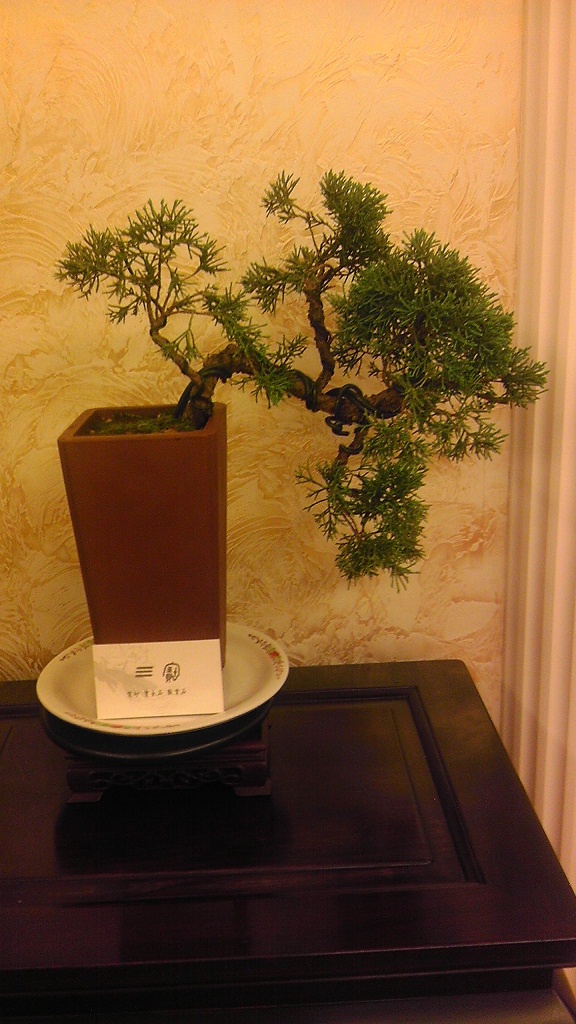 IMAG0033-1.jpg