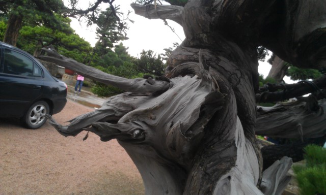 IMAG0165.jpg
