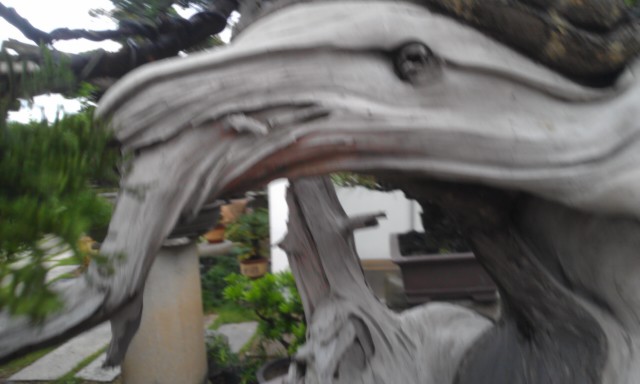 IMAG0154.jpg