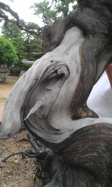 IMAG0163.jpg
