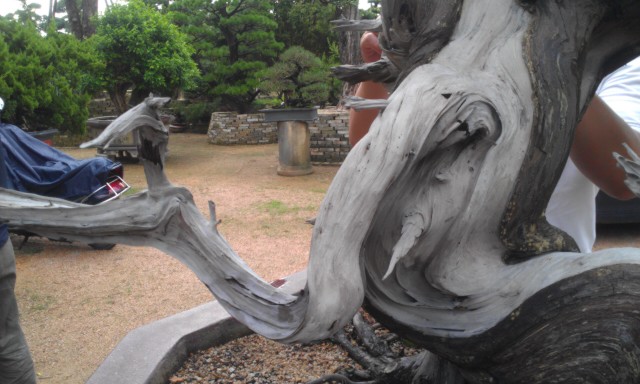 IMAG0164.jpg