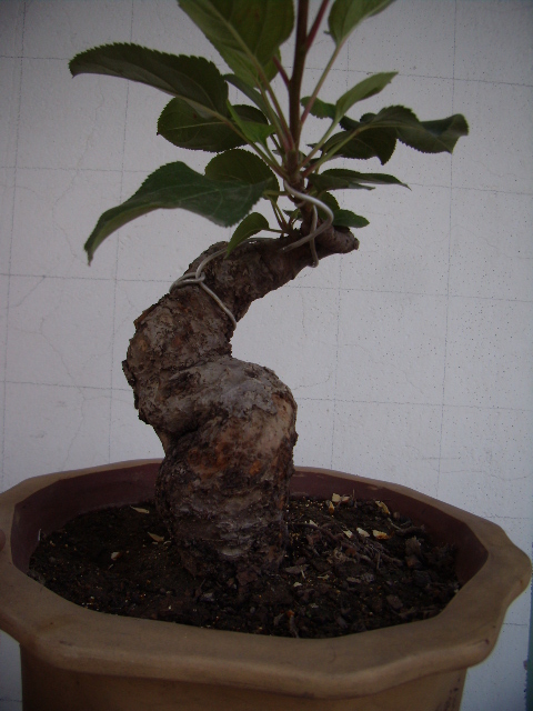 P8300024.JPG