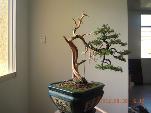 DSCN0917_.jpg
