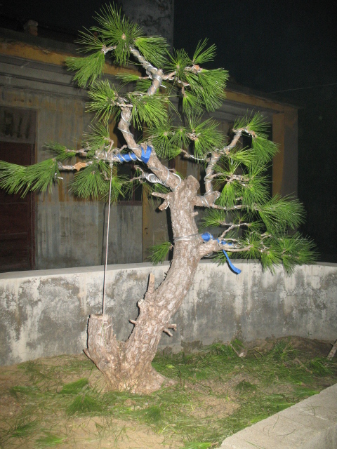 2012.08.30 158.jpg