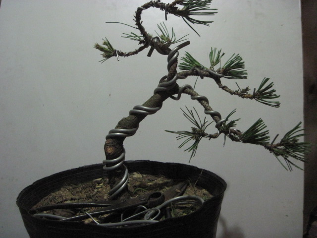 2012-08-30 001.jpg