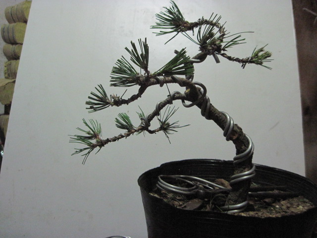 2012-08-30 002.jpg