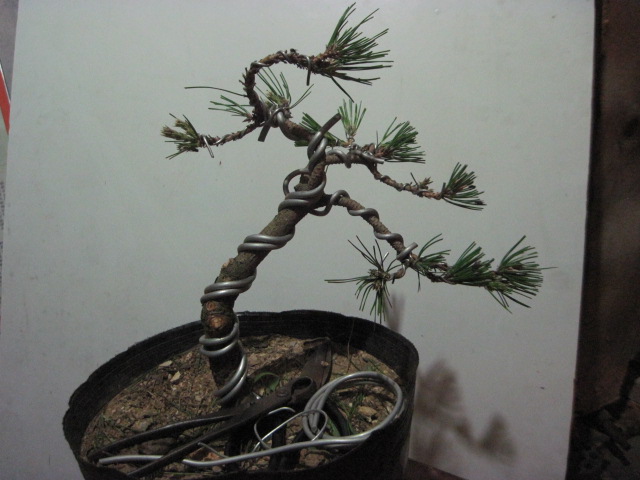 2012-08-30 003.jpg