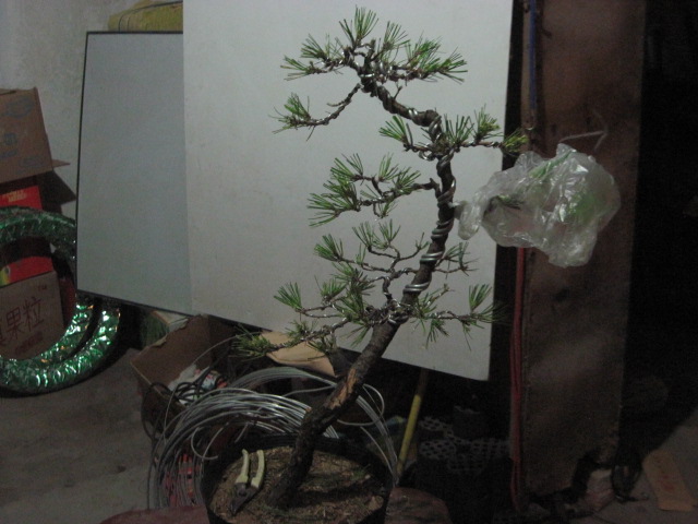 2012-08-30 007.jpg